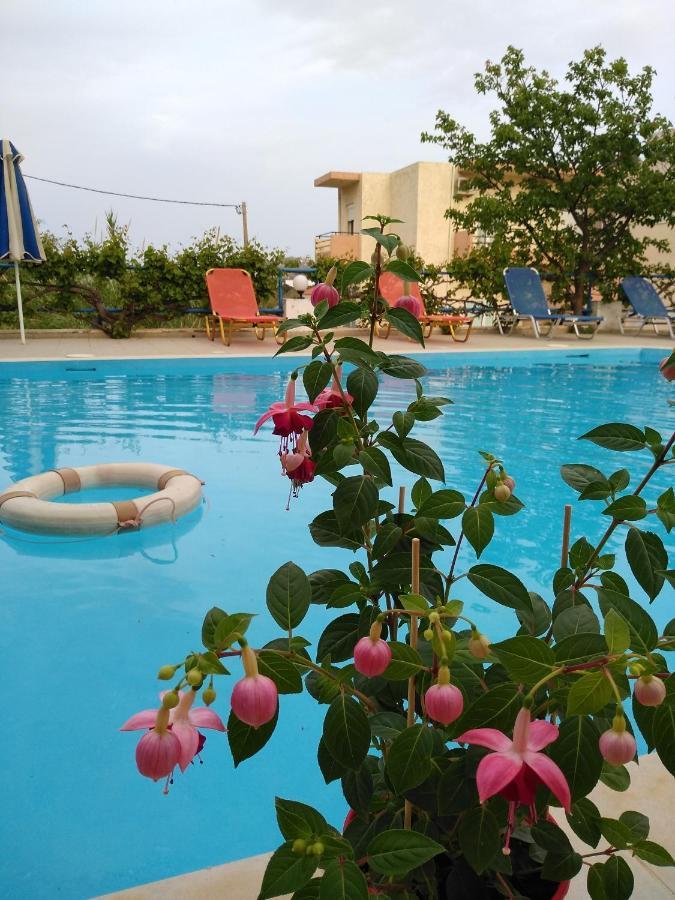 Creta Sun Hotel Studios อาเยีย เปลาเยีย ภายนอก รูปภาพ