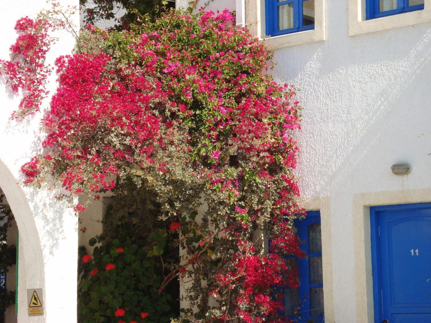 Creta Sun Hotel Studios อาเยีย เปลาเยีย ภายนอก รูปภาพ