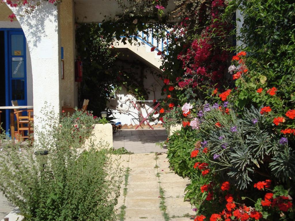 Creta Sun Hotel Studios อาเยีย เปลาเยีย ภายนอก รูปภาพ